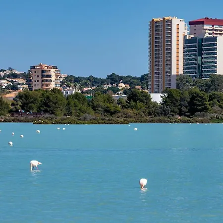 Premium Beachfront Apolo Xiv Апартаменты *