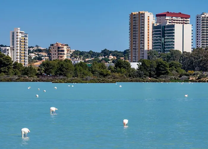 Premium Beachfront Apolo Xiv Διαμέρισμα *